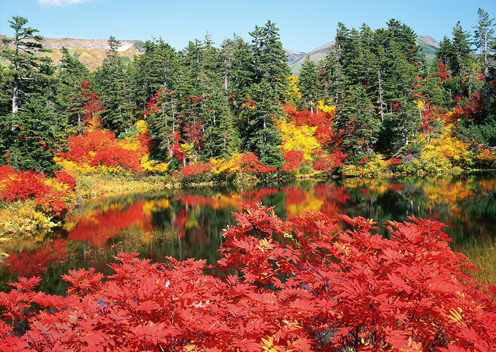 緑沼の紅葉